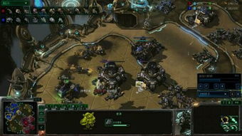 《星际争霸2》小强进化指南：升级攻略揭秘