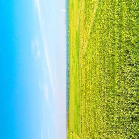 《幻塔》源器排行攻略：揭秘高效选择与运用技巧