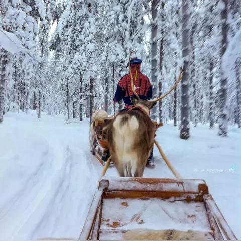 《Minecraft》圣诞老人雪橇车建造攻略：打造专属雪橇车教程