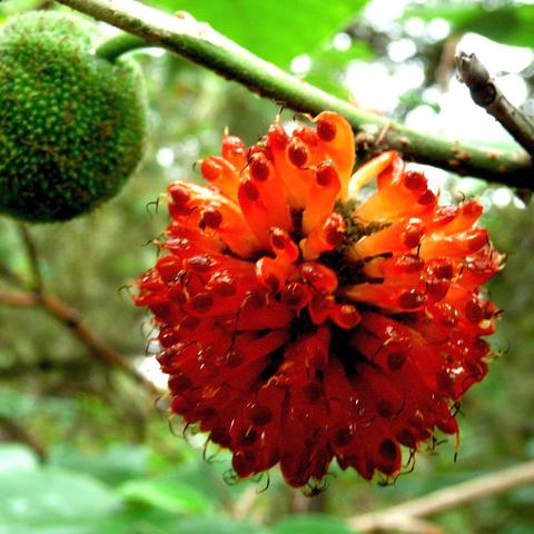 女子用猪食洗碗引争议？游戏高手教你3招避坑奇葩攻略，少走弯路！