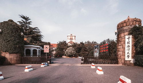 阿西美女室友升级豪华版，全新体验大揭秘！