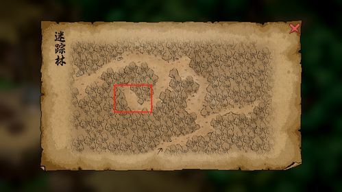 新手必看！《大侠立志传》迷踪林深度探险攻略解析