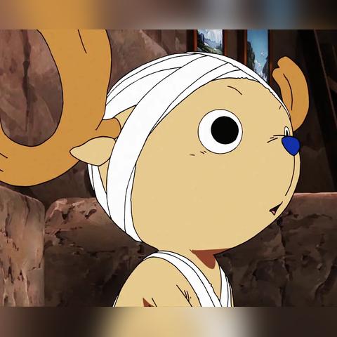 《动物森友会》海贼王岛：独家揭秘，沉浸式海贼冒险体验