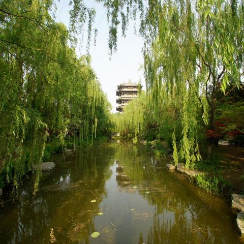 乐山大佛三江汇流处水位极低！开放世界隐藏解谜竟藏现实彩蛋？