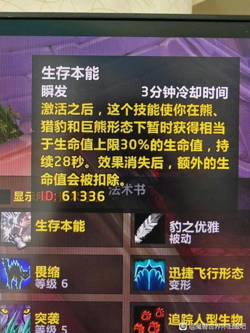 太吾绘卷武当绝学揭秘，属性秘籍价值解析