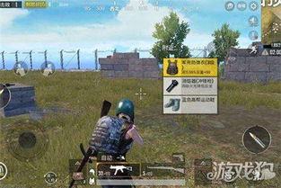 绝地求生打野技巧解析：高效吃鸡新地图攻略全解析