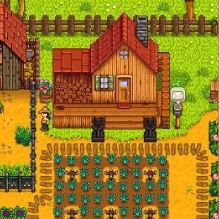 《明末渊虚之羽》豪华版价格揭秘：独家探秘版价值解析