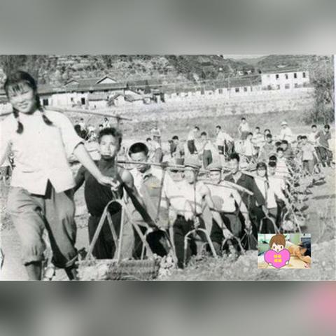 《半条命》升级补丁引热议：玩家心心念念的《半条命3》何时归来？