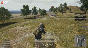 《绝地求生》Sli国际邀请赛精彩战报：揭秘巅峰对决新篇章