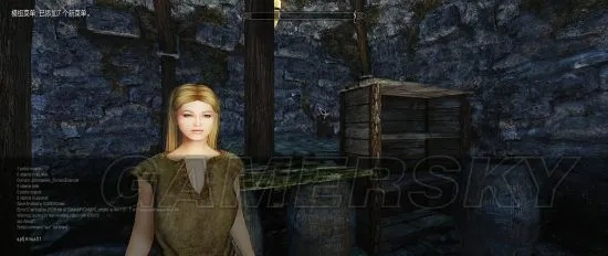 上古卷轴5Racemenu捏脸秘籍，打造个性化随从美化攻略全解析