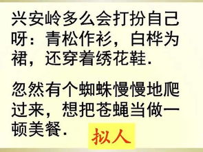 《燕云十六声》柿业有成攻略：高效完成方法揭秘新技巧