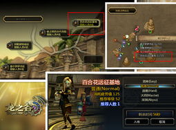 紧急！2025龙之谷领号最后3天，官方直放1000个内测资格，手慢无！