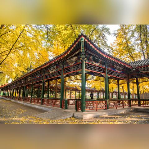 首都布局策略：揭秘《文明6》前期发展新智慧