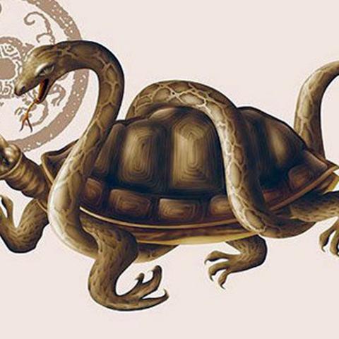 CODX忍者神龟高价联动,是金龟壳吗?玩家不满！