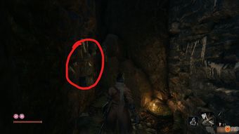 《只狼》试玩版无伤通关攻略，揭秘全新生存技巧！