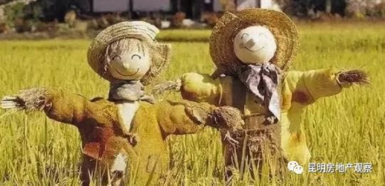 稻草人套装深度解析：全新实用效果与价值亮点揭秘