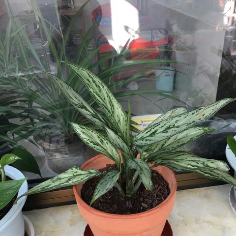 《呼吸边缘》全剧情深度解析：攻略揭秘与全新体验分享