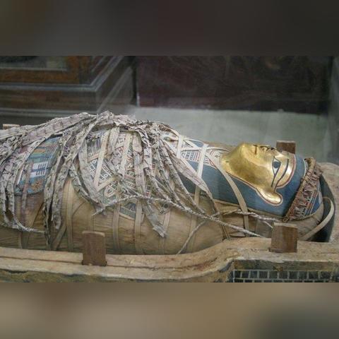 《永恒之柱2》诅咒之路攻略：队伍配置与技能加点全解析，解锁最强阵容