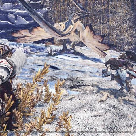 炎妃龙狩猎攻略：深度解析与全新战术解析