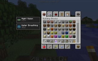 结构方块应用攻略：深度解析《我的世界》高效搭建技巧