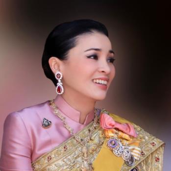 《荣誉勋章》攻略揭秘：解锁单人模式最强技巧！