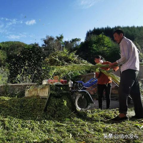 现代战争2：揭秘未来战场新篇章