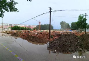 《灰雨钢锋》巧避水坑树倒攻略：解锁灵巧步伐新技巧