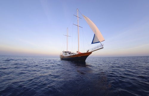 战帆舰船部件深度解析：解锁《骑马与砍杀2》航海新篇章