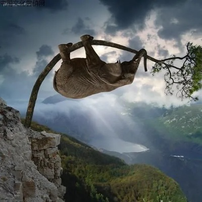 THQ逆境求生：揭秘即将翻身之谜