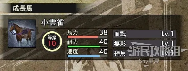 《战国无双5》全武将闪技解锁攻略，揭秘顶级马匹升级秘籍