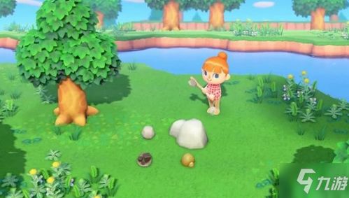 《动物森友会》石头刷新奥秘解析，深度揭秘新价值攻略