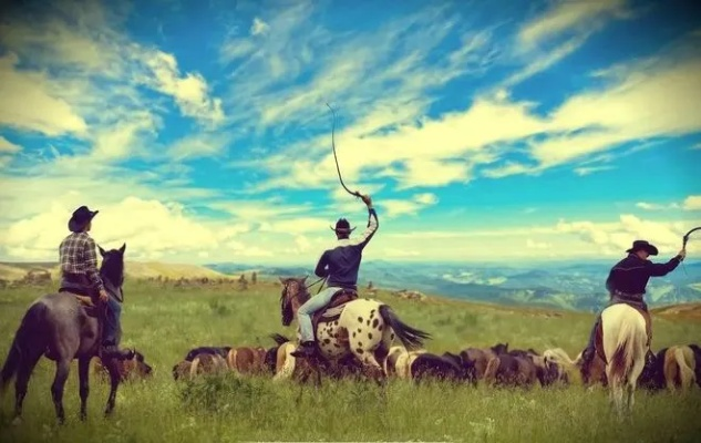 西部牛仔传奇，农场人生新篇章启航