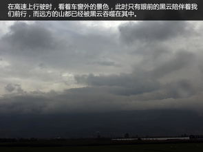 《Deracine》深度解析：探寻根植之秘，情感觉醒之旅