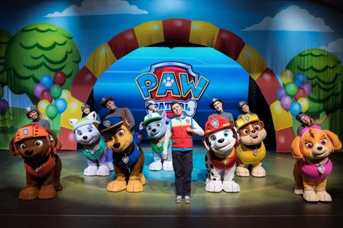 《汪汪队立大功》全关卡攻略：深度解析图文流程，揭秘通关秘籍