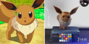 《皮卡丘伊布美录梅塔图鉴揭秘：美录坦进化新篇章》