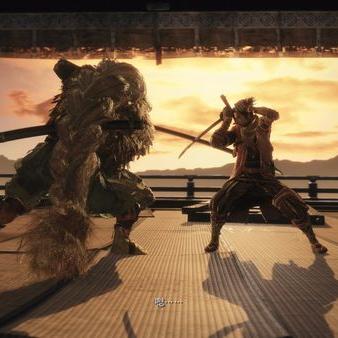 《血源全BOSS速通秘籍：高效通关新攻略》