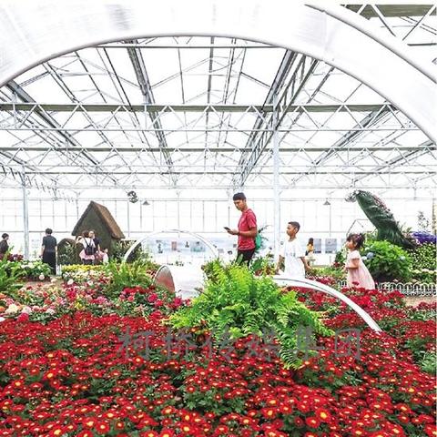 泡泡堂客户端2025还能玩吗？焕新版卡顿解决+隐藏玩法全揭秘！