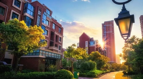 《多洛可小镇》兴居睦邻升级，共创和谐新篇章