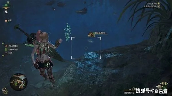 《荒野猎人龙雕币获取攻略：快速收集秘籍》