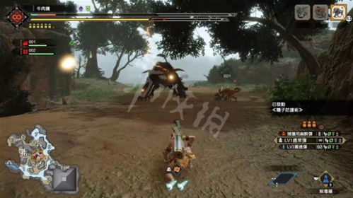 《怪物猎人崛起》曙光DLC金狮子双刀神装解析，打造最强猎人！