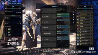 银爵龙轻弩绝配攻略，解锁崛起最强输出秘籍