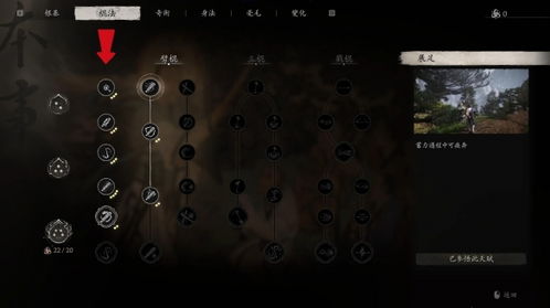 《黑神话悟空》毛毛流攻略：最强配装解析，轻松上分！