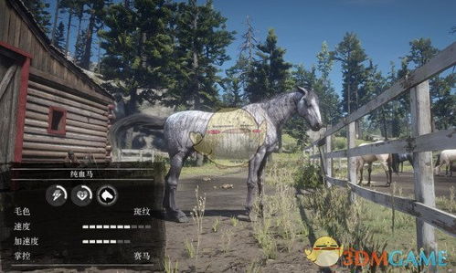 《荒野大镖客2》独家攻略：轻松获取斑纹纯血马