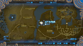 《塞尔达传说》相机解锁攻略：图鉴功能快速上手！