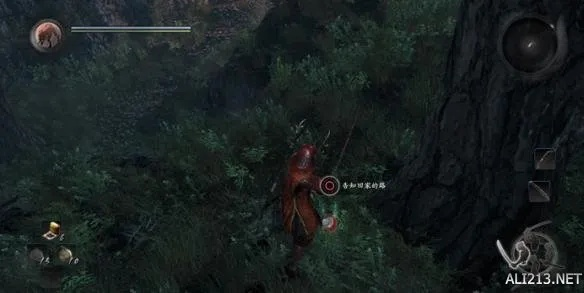 《仁王》木灵分布全解析：解锁神秘新价值攻略