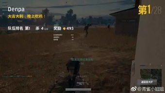 绝地求生大逃杀夺冠秘籍：中后期核心技巧深度解析