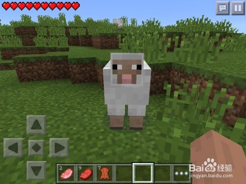 《我的世界》生存新手攻略：全面揭秘生存模式玩法技巧