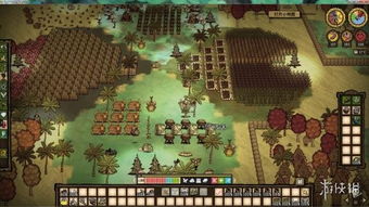 《饥荒》联机版独家攻略：豪华基地布局与建家秘籍大揭秘