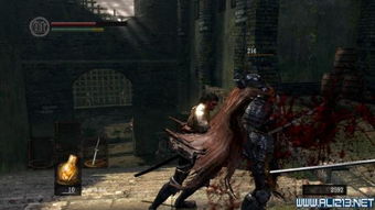 《黑魂3》盾反技巧深度解析：优劣对比与动图教学精粹