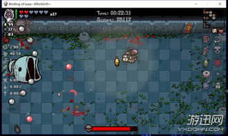 《以撒结合胎衣》怪物图鉴全解析，高效打法与属性特点攻略指南